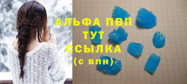 прущие грибы Саки