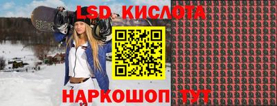 ГАЛЛЮЦИНОГЕННЫЕ ГРИБЫ Берёзовский