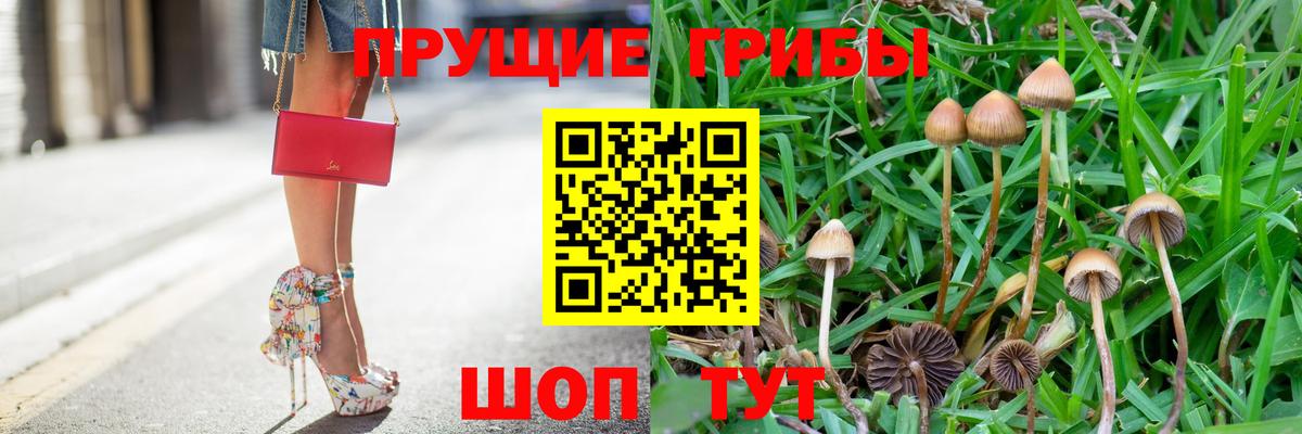 Галлюциногенные грибы Psilocybine cubensis Стерлитамак